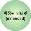 확장된 인터넷 (extended)